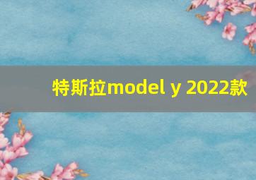 特斯拉model y 2022款